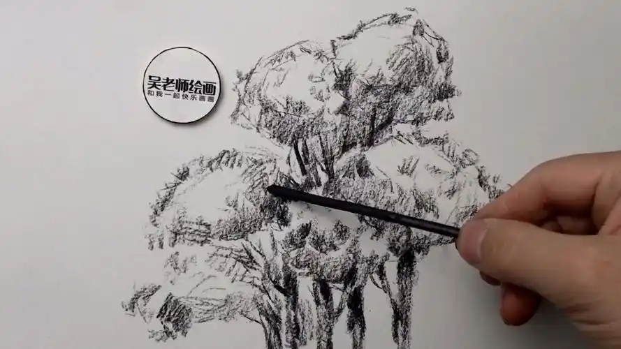 素描风景场景茂盛的树丛