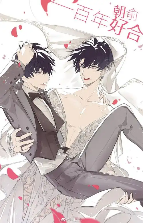 伪装学渣贺朝谢俞