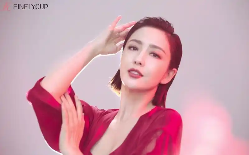 佟丽娅内衣广告