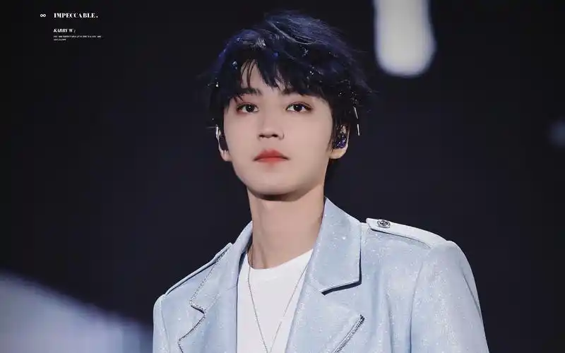 230806 tfboys十周年演唱会 《样young》 王俊凯focus