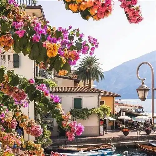 28张微信风景头像,有花有草有风景,太好看了_整理_张微信_头像