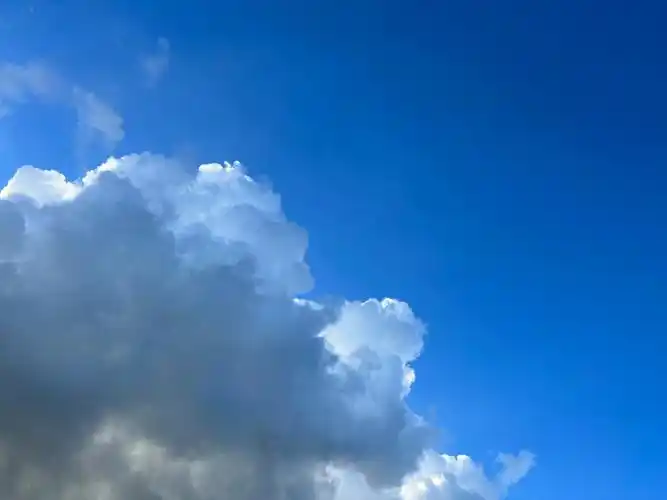 一抬头就发现了好多蓬松柔软的漂亮云朵,阳光照映出了好看的层次.