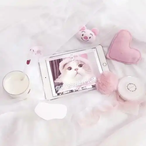 举牌素材高清不泛滥