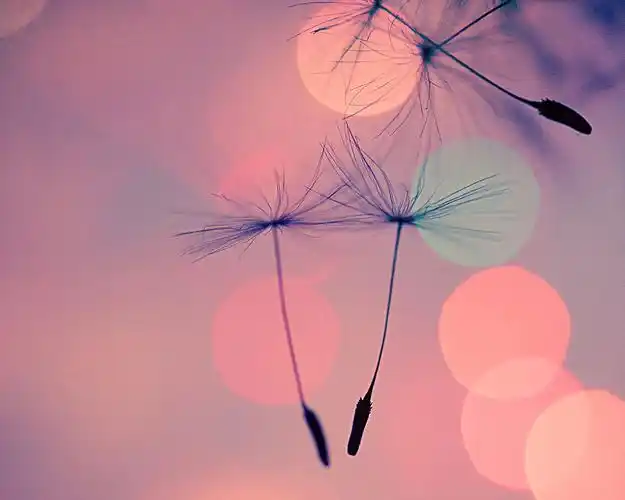 小清新唯美意境高清壁纸第七辑