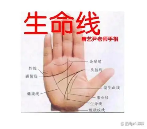 也是寿命长短,甚至还有寿命的长短,生命线短也预示着命运的变动,那么