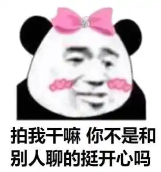 拍我干嘛你不是和别人聊的挺开心吗熊猫头拍一拍表情包干嘛熊猫开心
