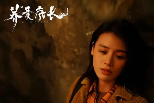 荞麦疯长马思纯钟楚曦黄景瑜首次合作超前路演正式开启