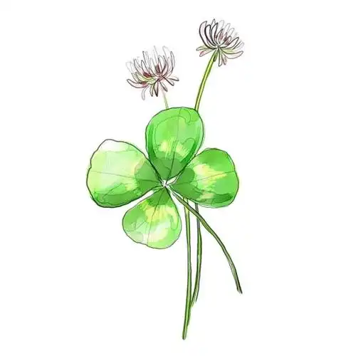 2021好看又耐看的头像图片