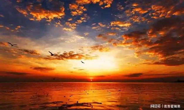 散文流光淡漠日近黄昏