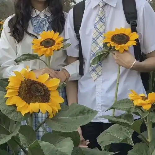 简约风的情侣头像