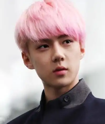 粉色发系 吴世勋