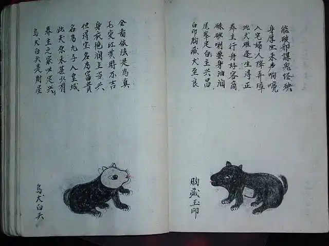 古籍《相犬大全》全本,上百种各色田园,让你大开眼界!