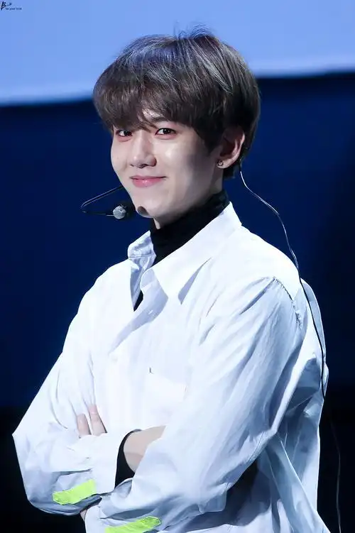 边伯贤 181102 exo comeback showcase "tempo"