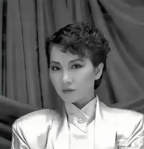 歌手,他们在声名鹊起之前,都是通过翻唱苏芮的经典曲目成功打入内地