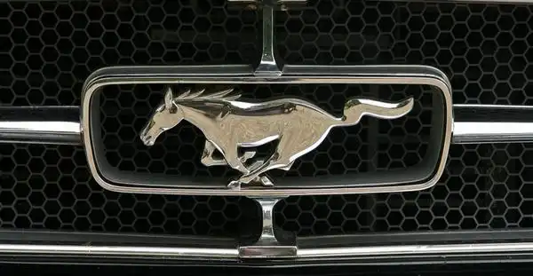 "野马车标"被去掉了彩带(轮眉处依旧保留"野马与彩带"标识),马的形象