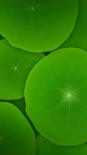 一生何求?冰雪知心 2019-05-14