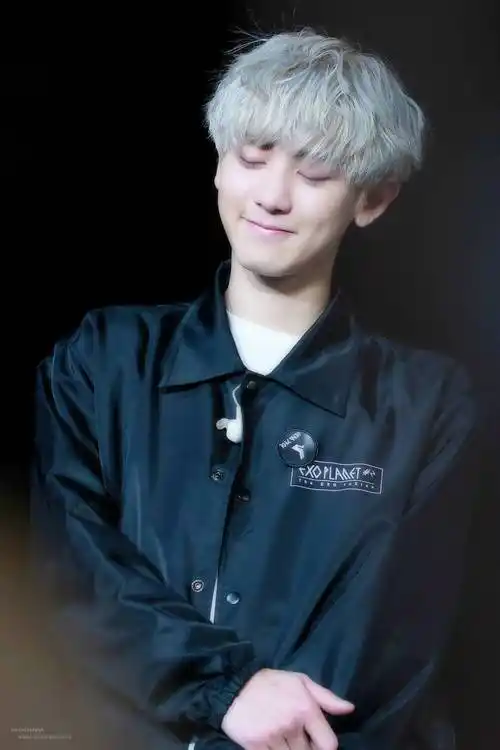 朴灿烈exochanyeol银发可爱