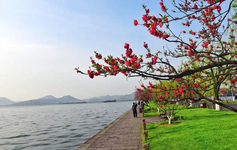 人间天堂-西湖春天