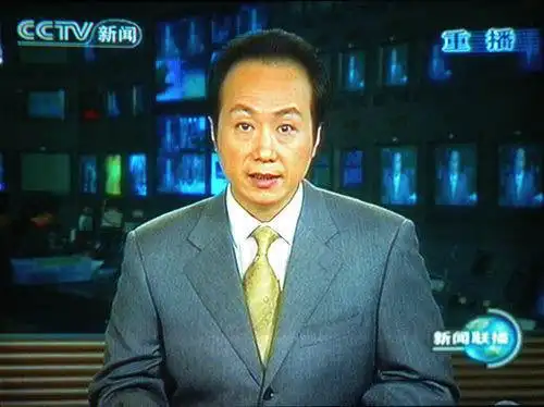 央视主持人罗京(资料图)