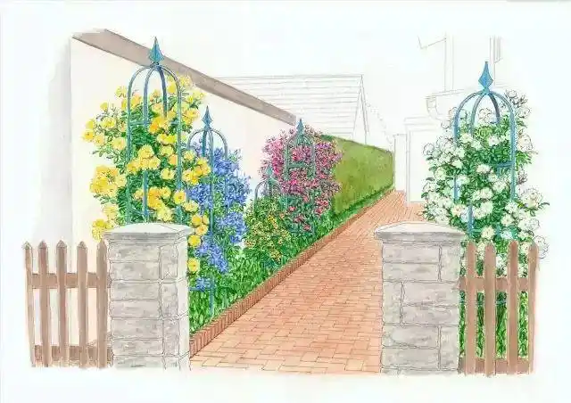 101款手绘花园院子植物小景