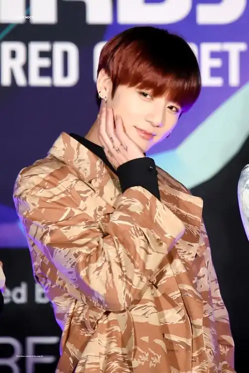 一直觉得刘耀文像陈宥维呀