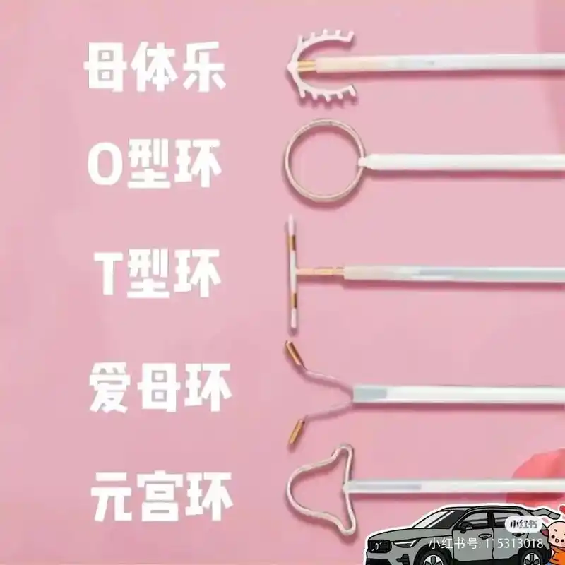 装置艺术92 节育环女性的血肉之痛8715.