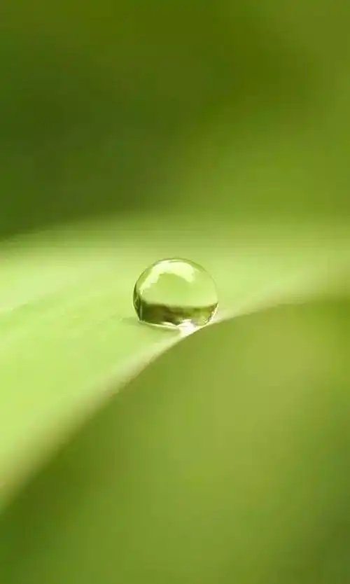 高清微信护眼图选1张当聊天背景图吧附24首养生音乐