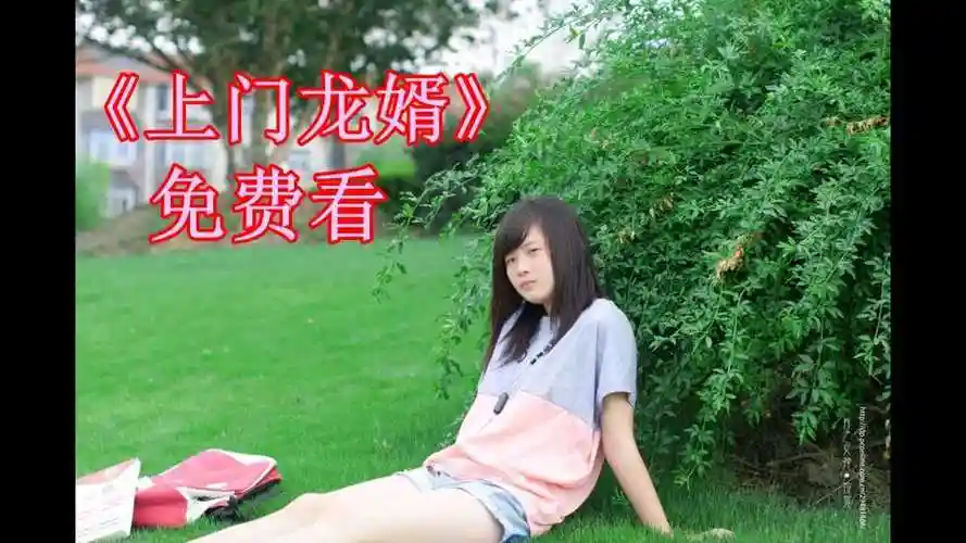 上门龙婿叶辰完结版电视剧