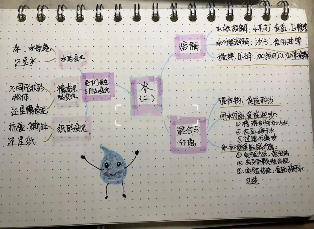 三年级科学第一单元水(二)思维导图 都说三年级上的科学难度突然加深