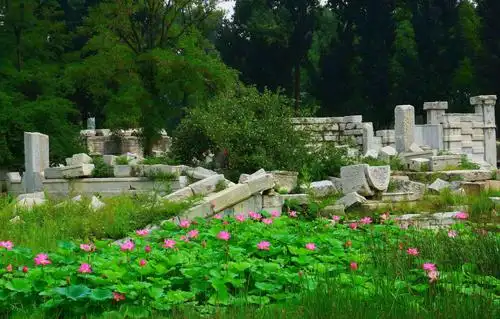 圆明园的春夏秋冬