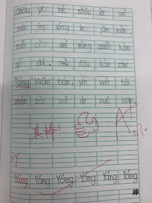 其它 拼音一句话优秀作业202012 写美篇