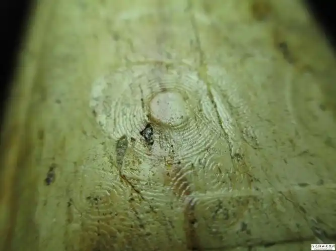 良渚阴刻线请指点