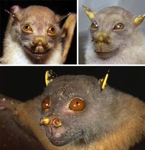 12种超自然生物