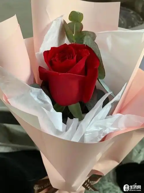 【晒晒节日礼物】有人收到了玫瑰,有人收到了红包,你收到了什么?