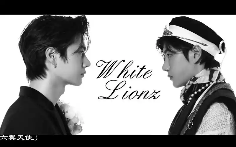 【王一博】【4k】whitelionz 时尚杂志混剪