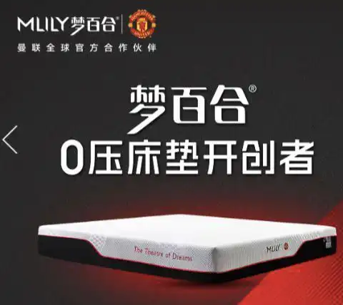 梦百合转型obm毛利率两连增 加速扩内销一年净开店407家