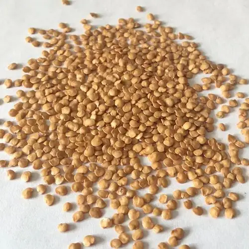 紫荣6号紫红茄子种子农科院长线种籽农家早熟家庭园艺种子