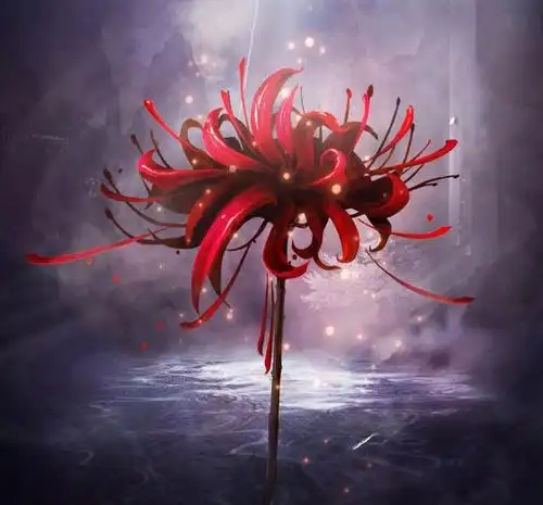 传说中冥界唯一的花朵彼岸花