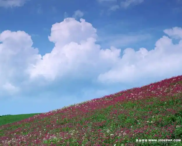 蓝天白云草地绿色主题图片欣赏