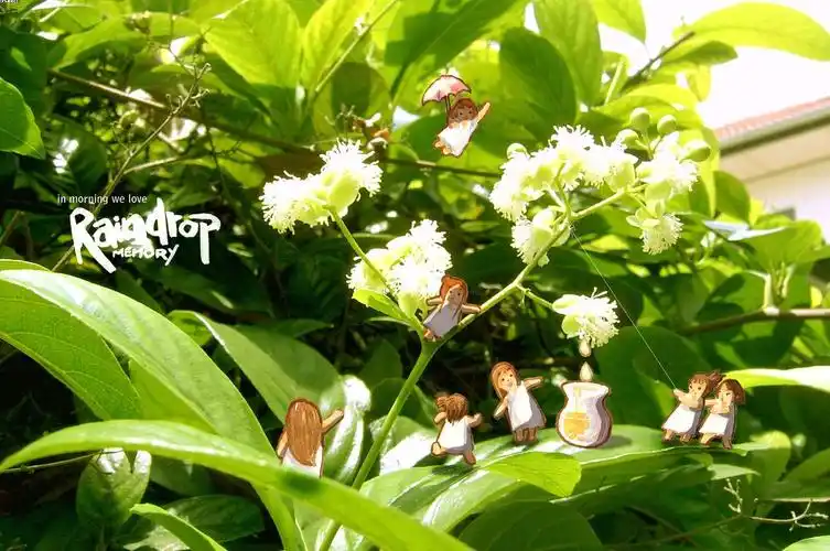 壁纸,清新,绿色