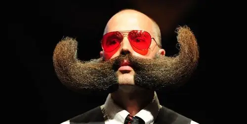 浓密的络腮胡子竟能整出这么好的造型来 1