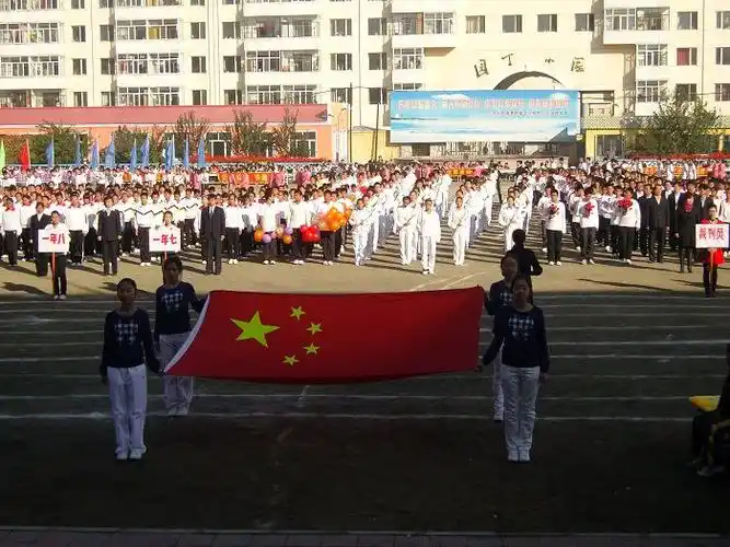 黑龙江省牡丹江市林口县林口镇文政大街林口二中