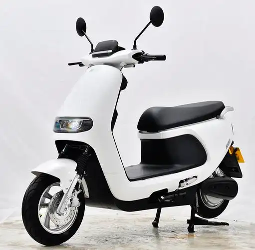 新日牌xr1000dt5b电动两轮摩托车