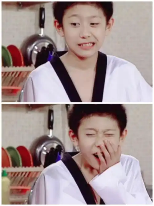 家有儿女|初代男神刘星