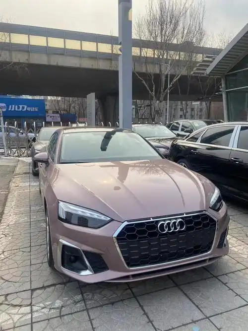 稀有颜色冰梅粉94_奥迪a5社区_易车社区