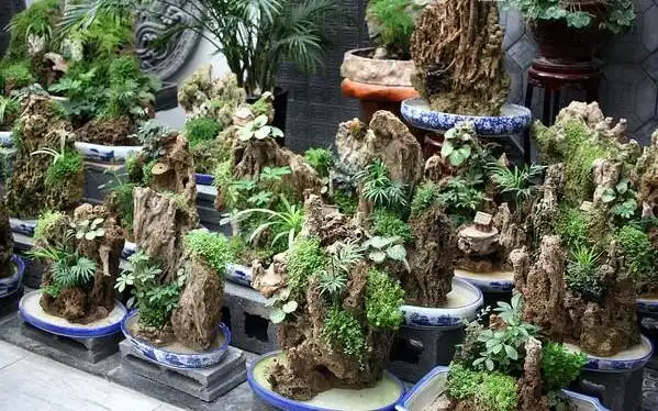 q3:为何庭院中要设置假山?