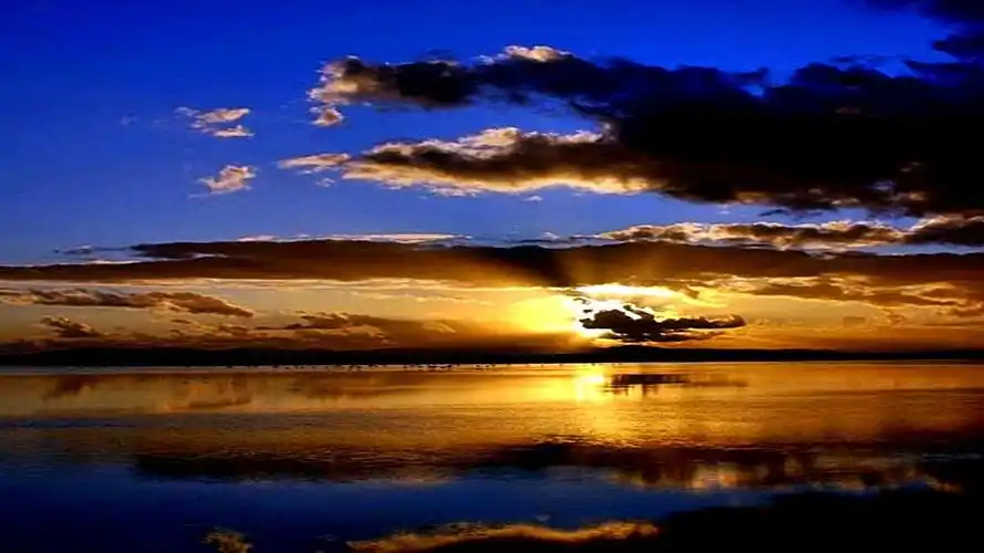 沉默是金色的壁纸