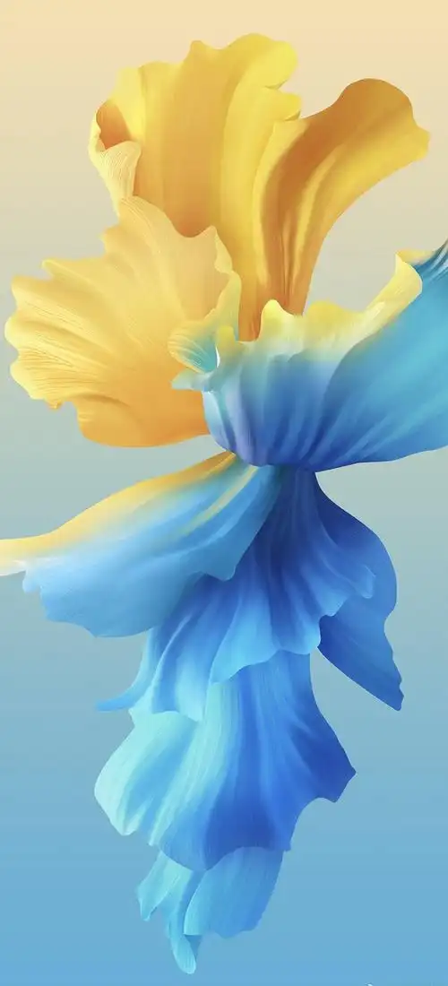 超级手机壁纸:4k画质,花有重开日,人无再少年!