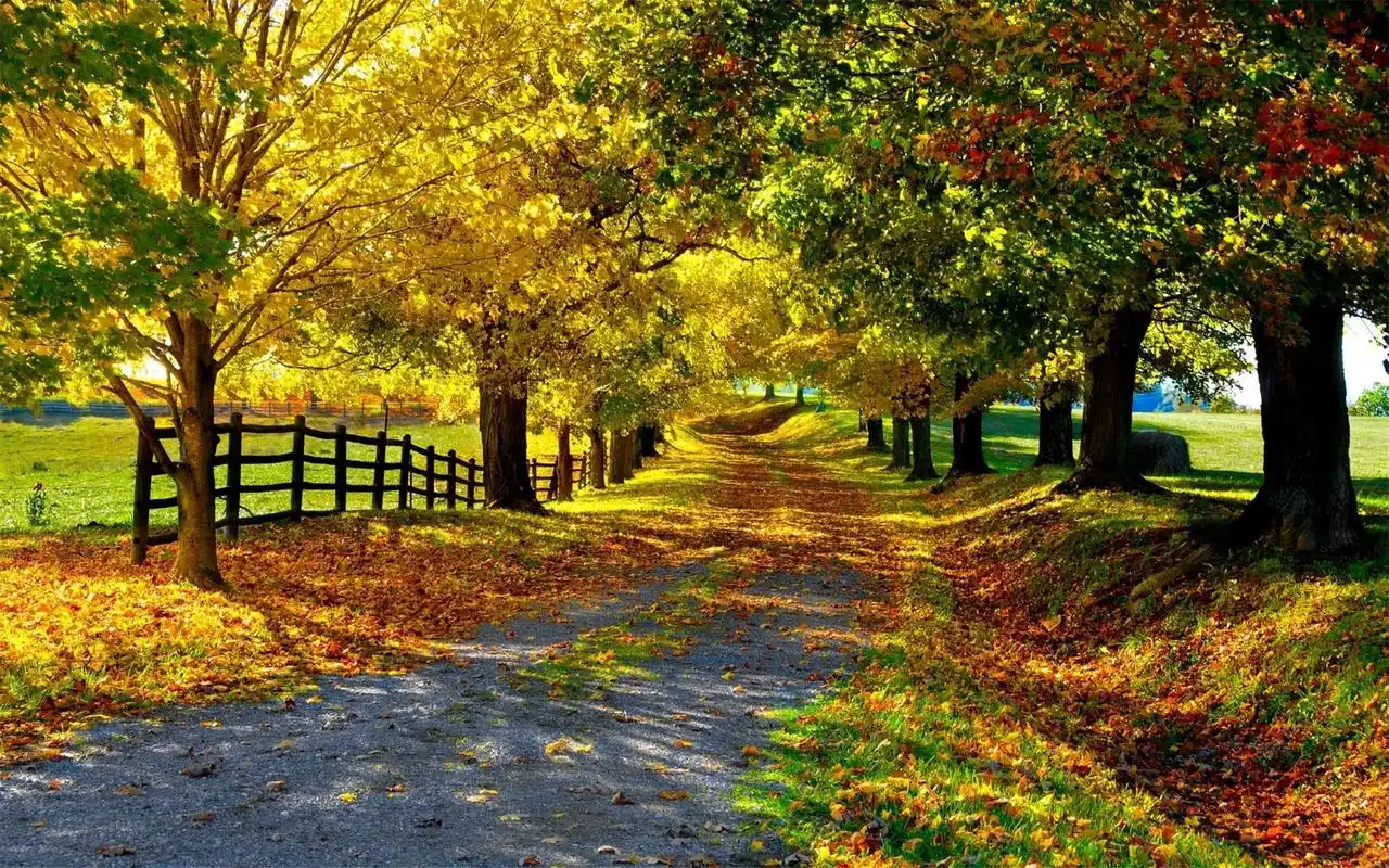 自然风景乡间四季唯美摄影高清电脑壁纸图片第二辑