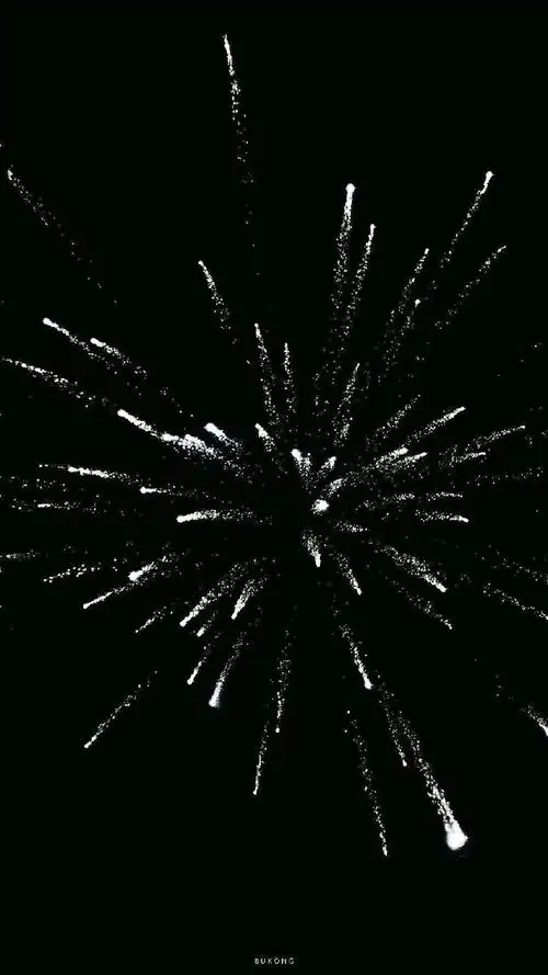 98年26岁月薪只有9000多##打工人专用壁纸##黑色系